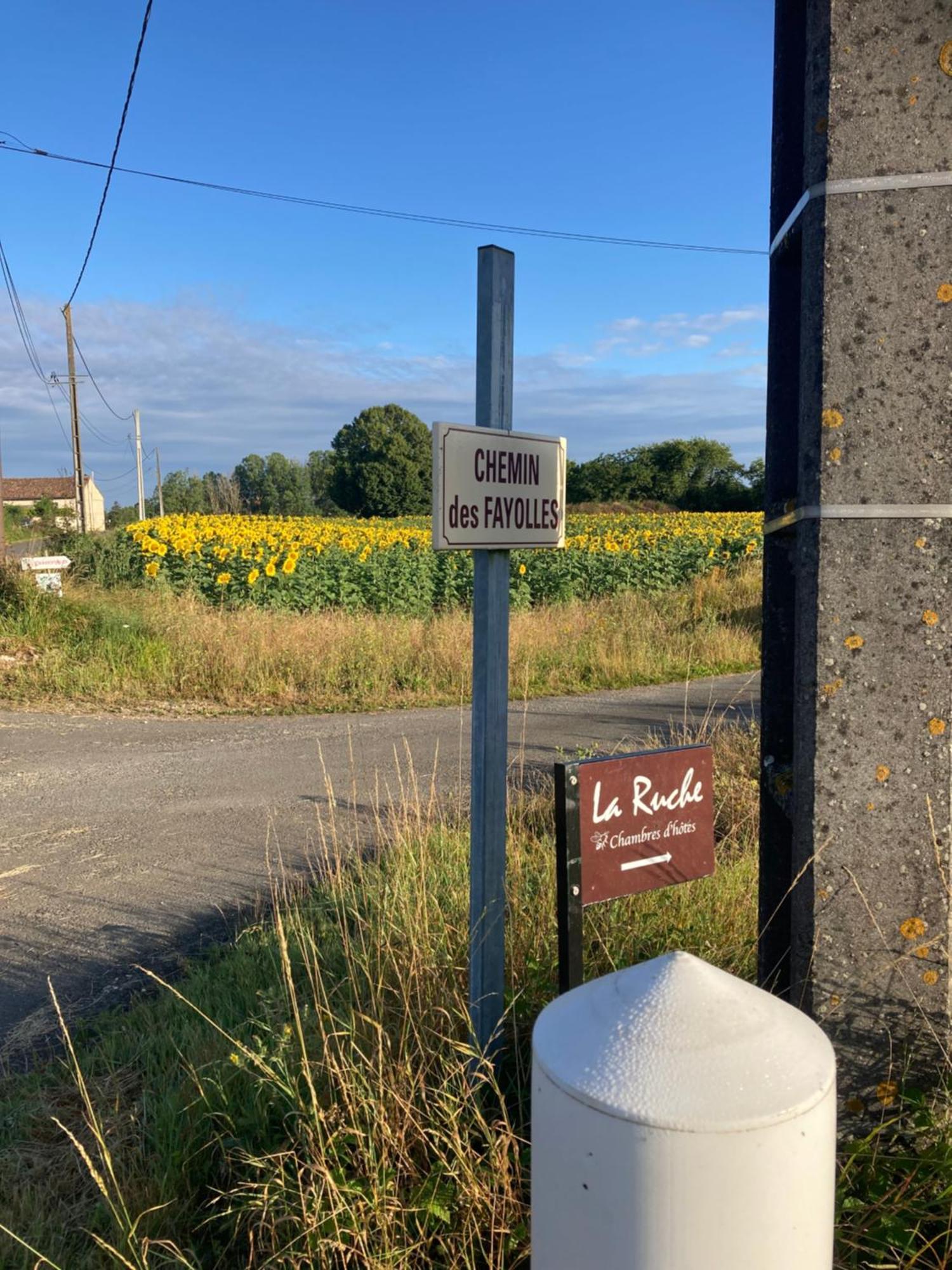 La Ruche Bed and Breakfast Paizay-Naudouin-Embourie Eksteriør billede